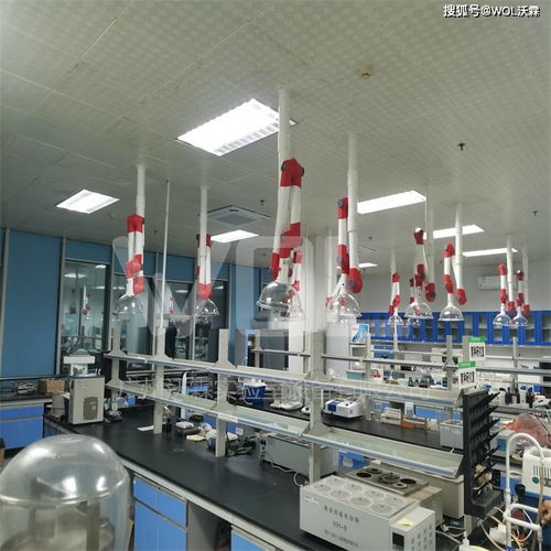 農(nóng)產(chǎn)品檢測(cè)實(shí)驗(yàn)室完工效果圖展示與技術(shù)服務(wù)介紹